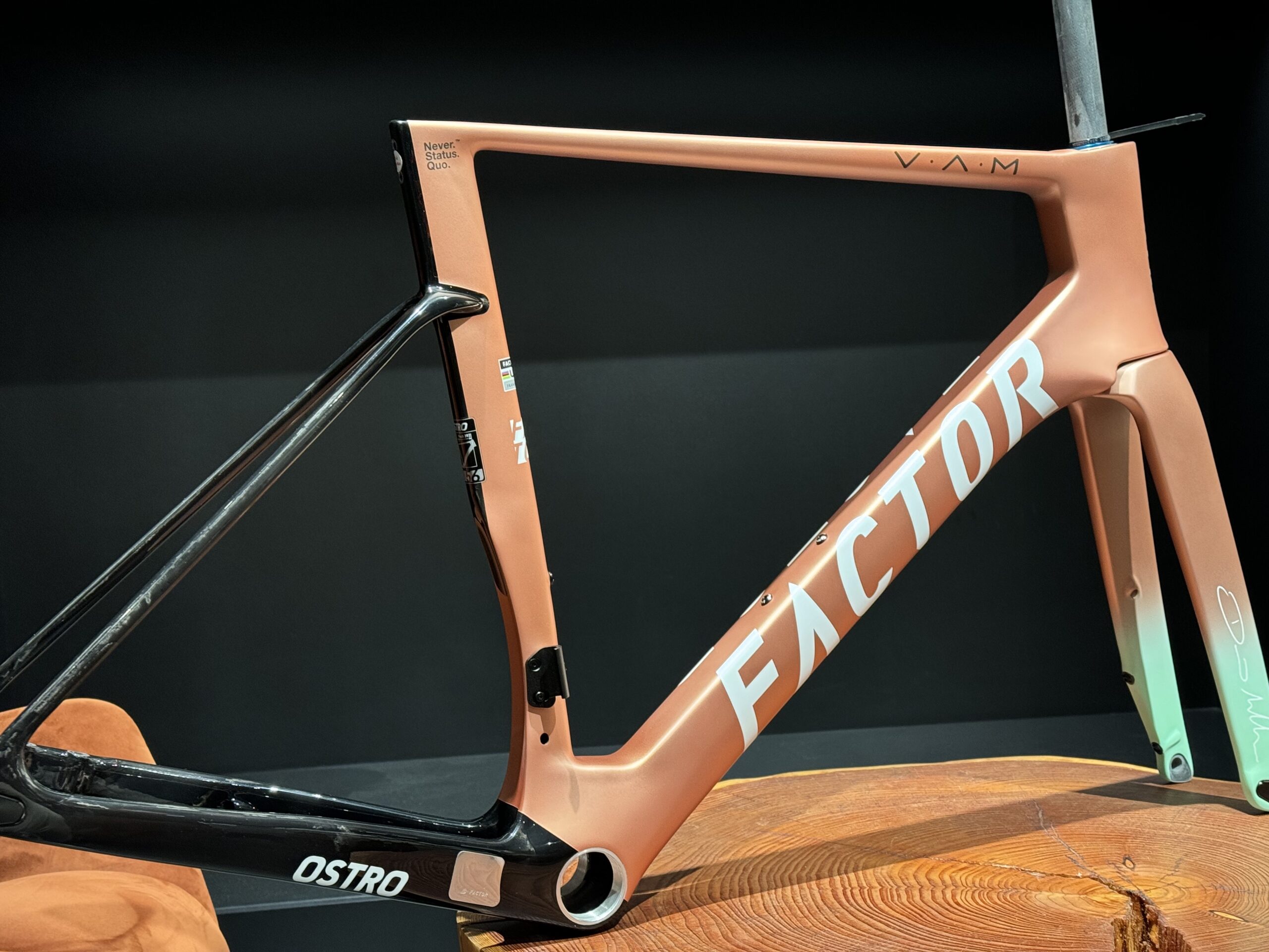Factor OSTRO VAM David Millar – Limited Edition - Frameset - obrazek 2