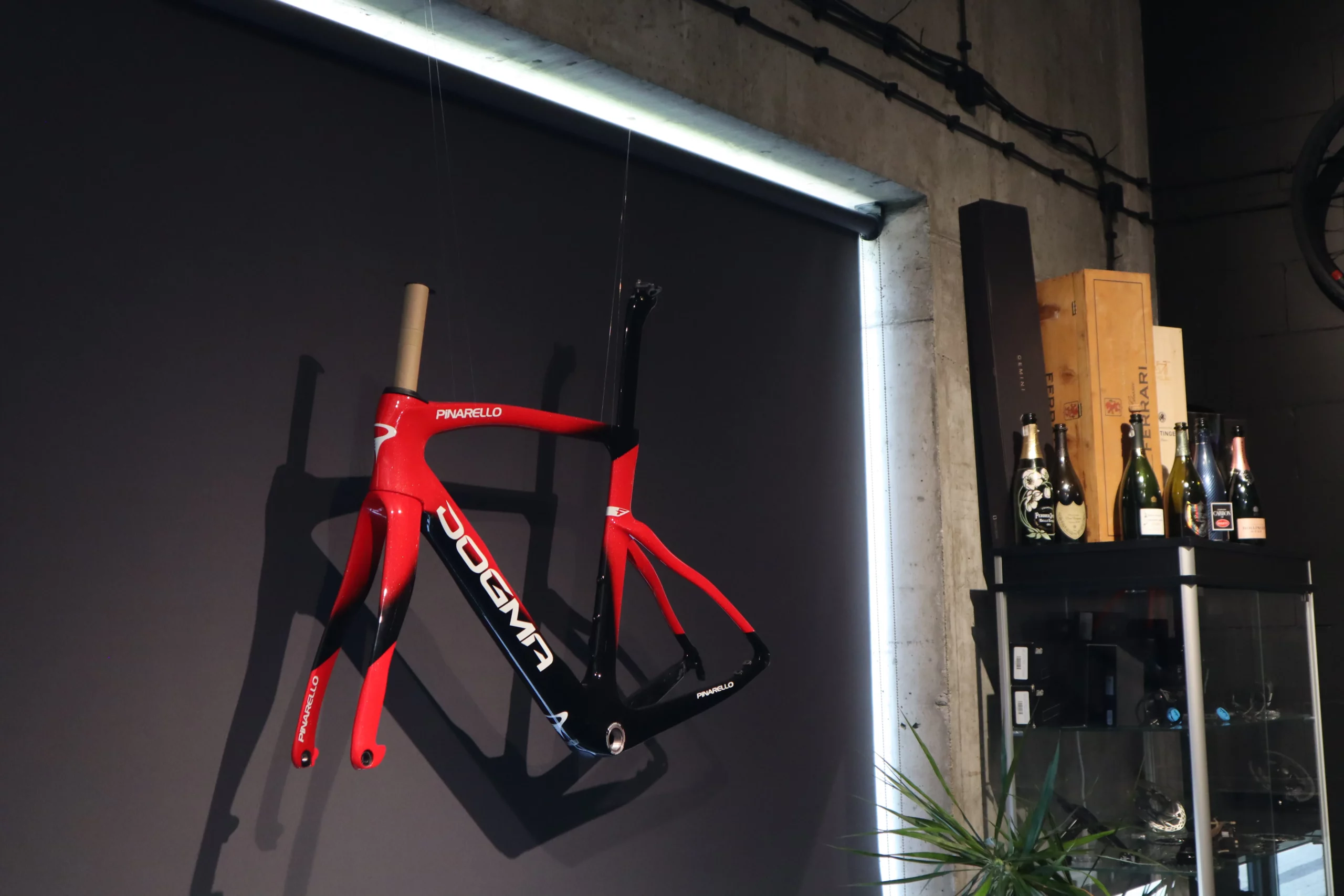 Pinarello Dogma F | 55 Sonic Red | Frame-Set - obrazek 4