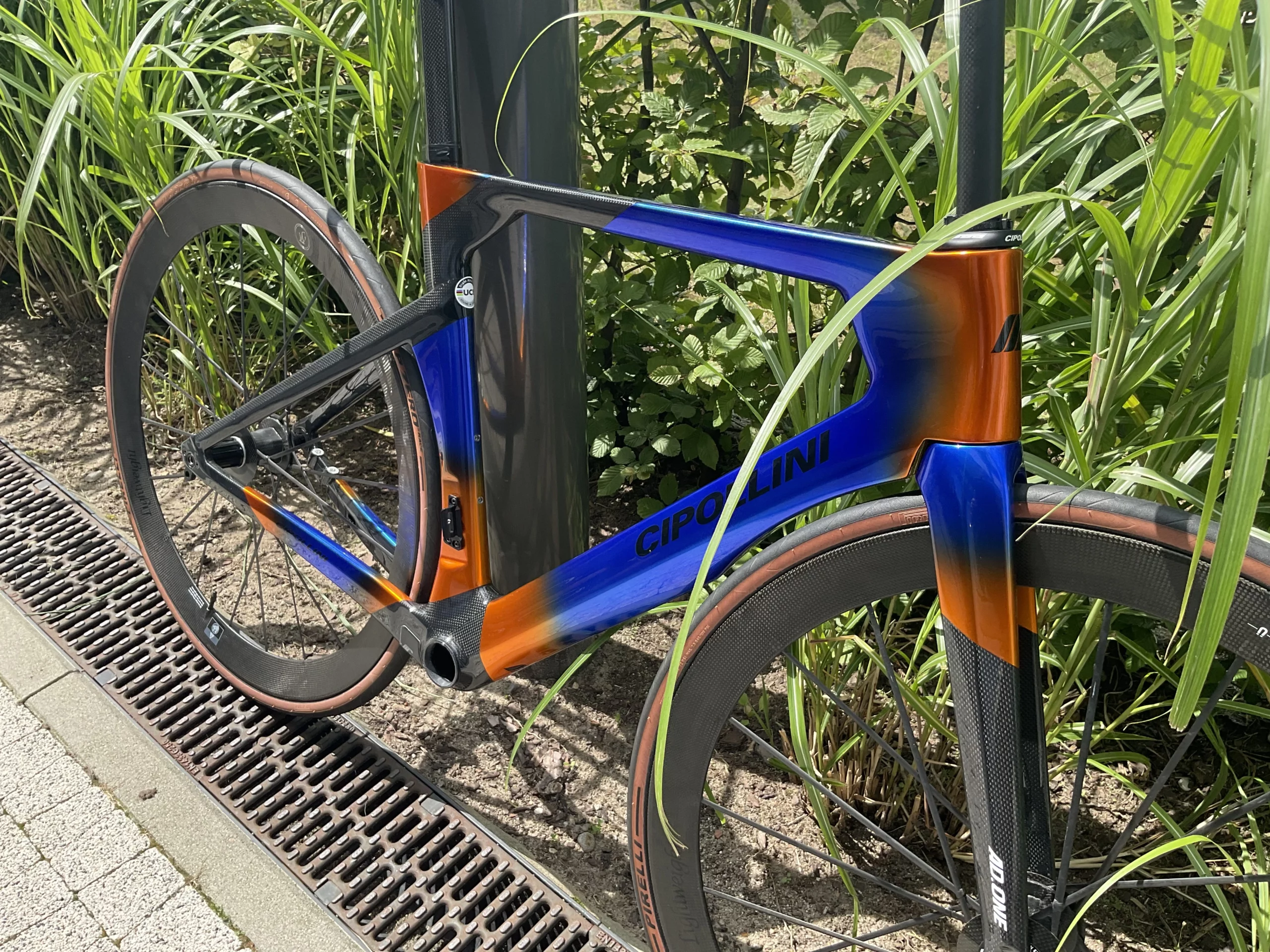 Cipollini Ad One Primavera Limited Edition Rolling Chassis 54 M - obrazek 8