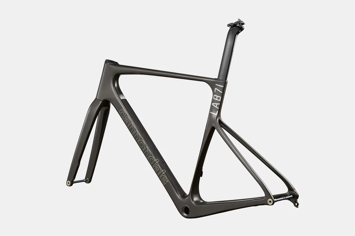 CANNONDALE SUPER SIX EVO LAB71 RAW FRAME - obrazek 2