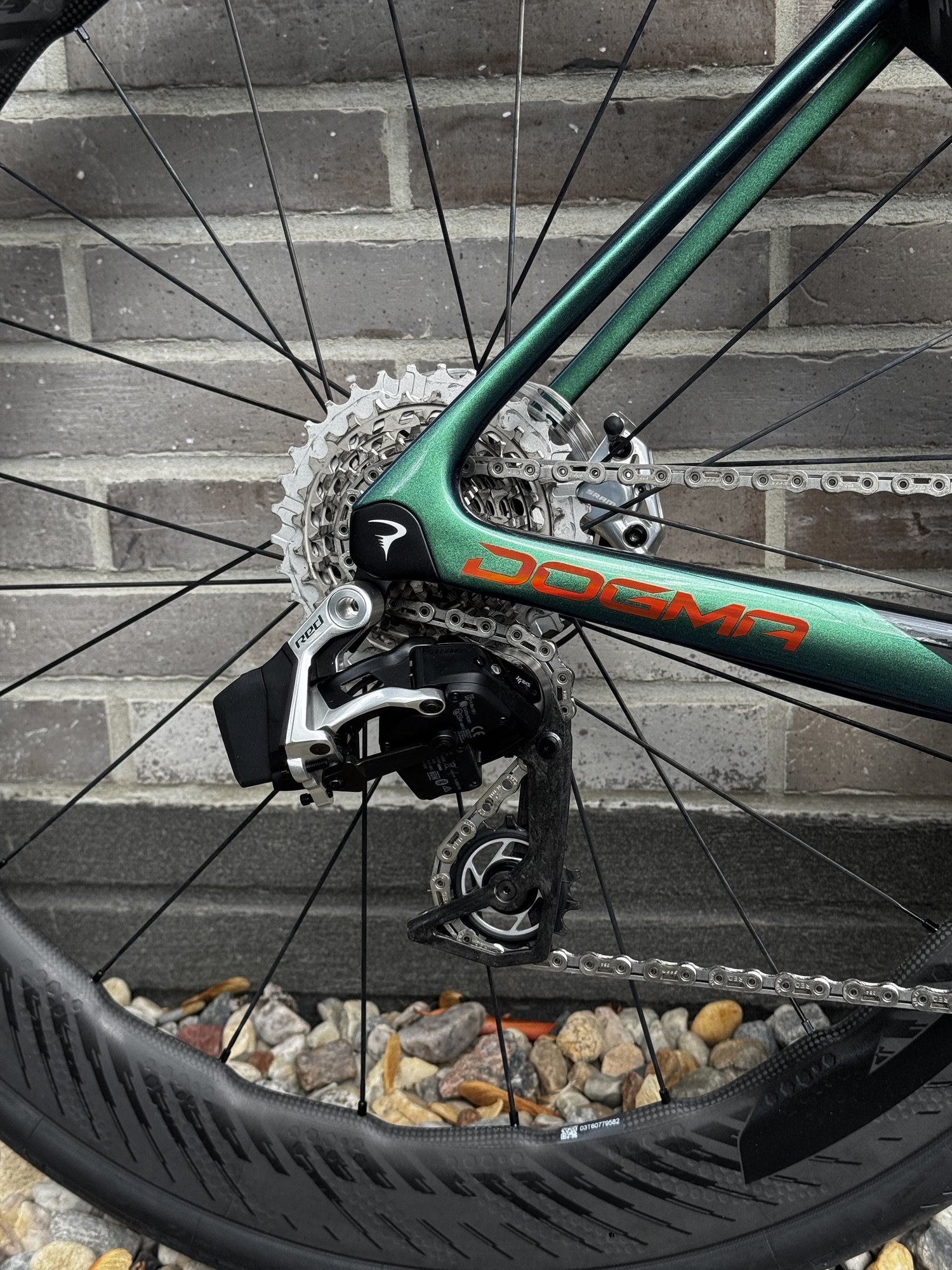 Pinarello Dogma X New 2026 - Jade Eclipse - Demo - obrazek 5