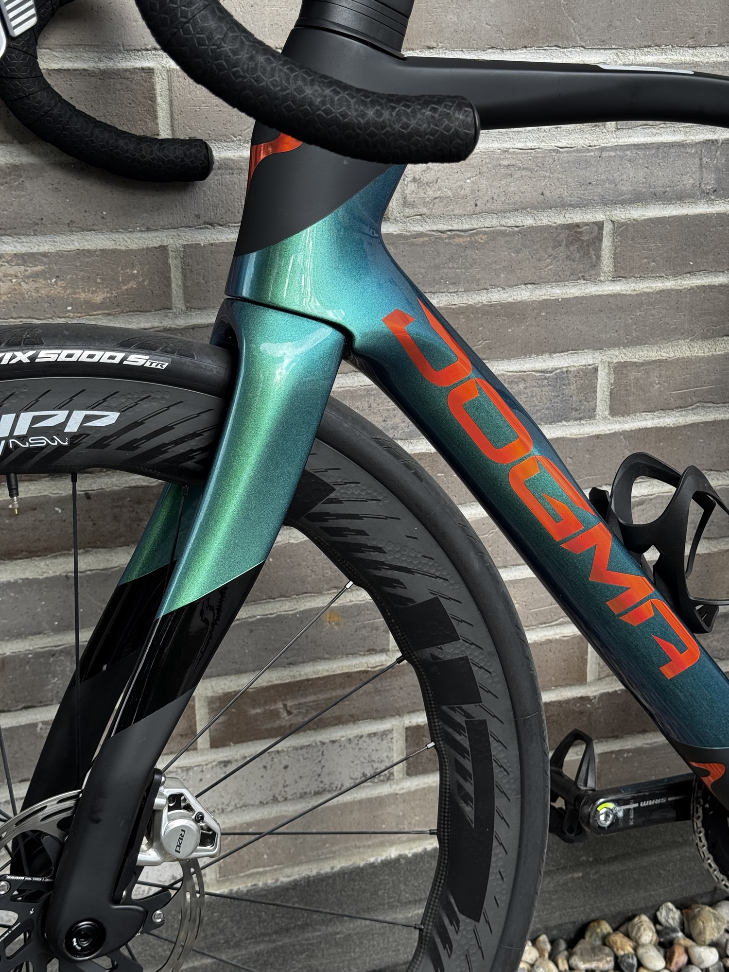 Pinarello Dogma X New 2026 - Jade Eclipse - Demo - obrazek 12