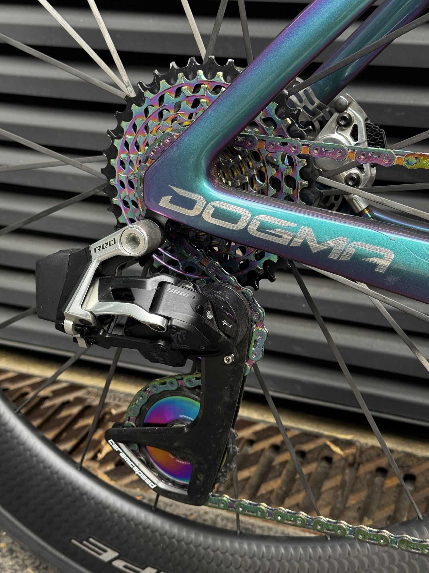 CeramicSpeed Northern Lights Pinarello Dogma F