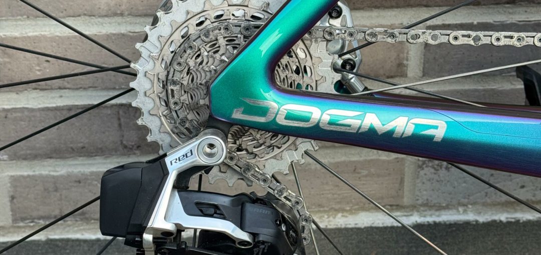 48fff035-fc3a-4987-8114-3ac9da6c958c