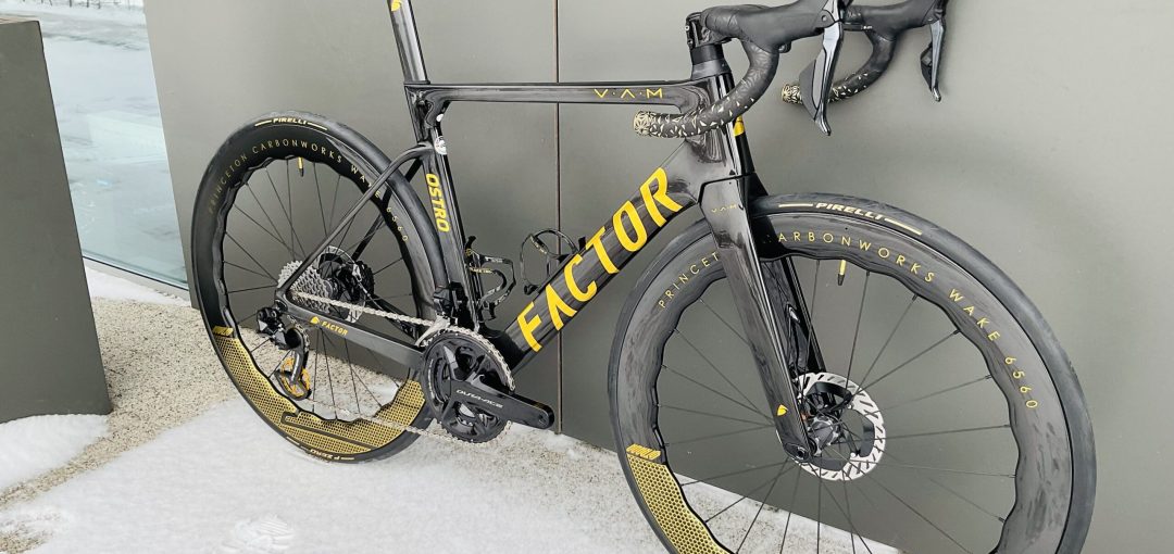 Ostro_Gold13-scaled-2