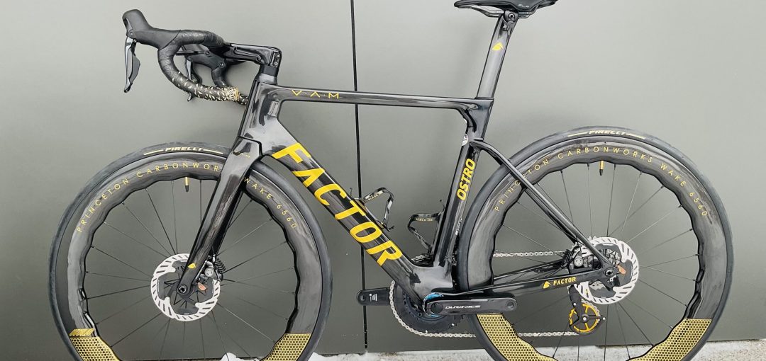 Ostro_Gold15-scaled-2