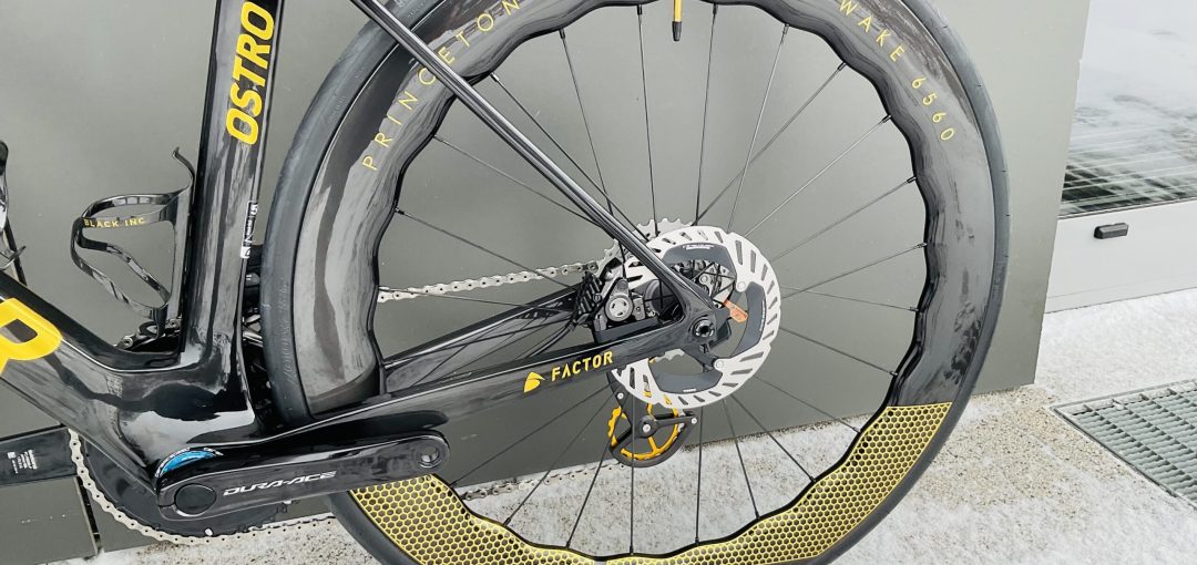 Ostro_Gold20-scaled-2